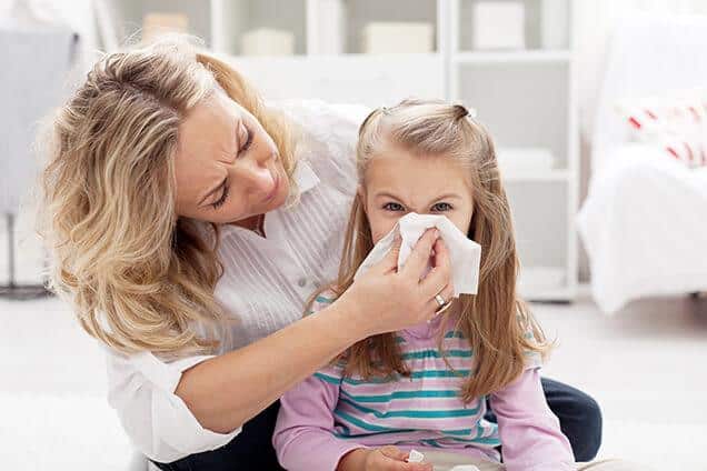 Reliable Indoor Air Quality in Bellevue