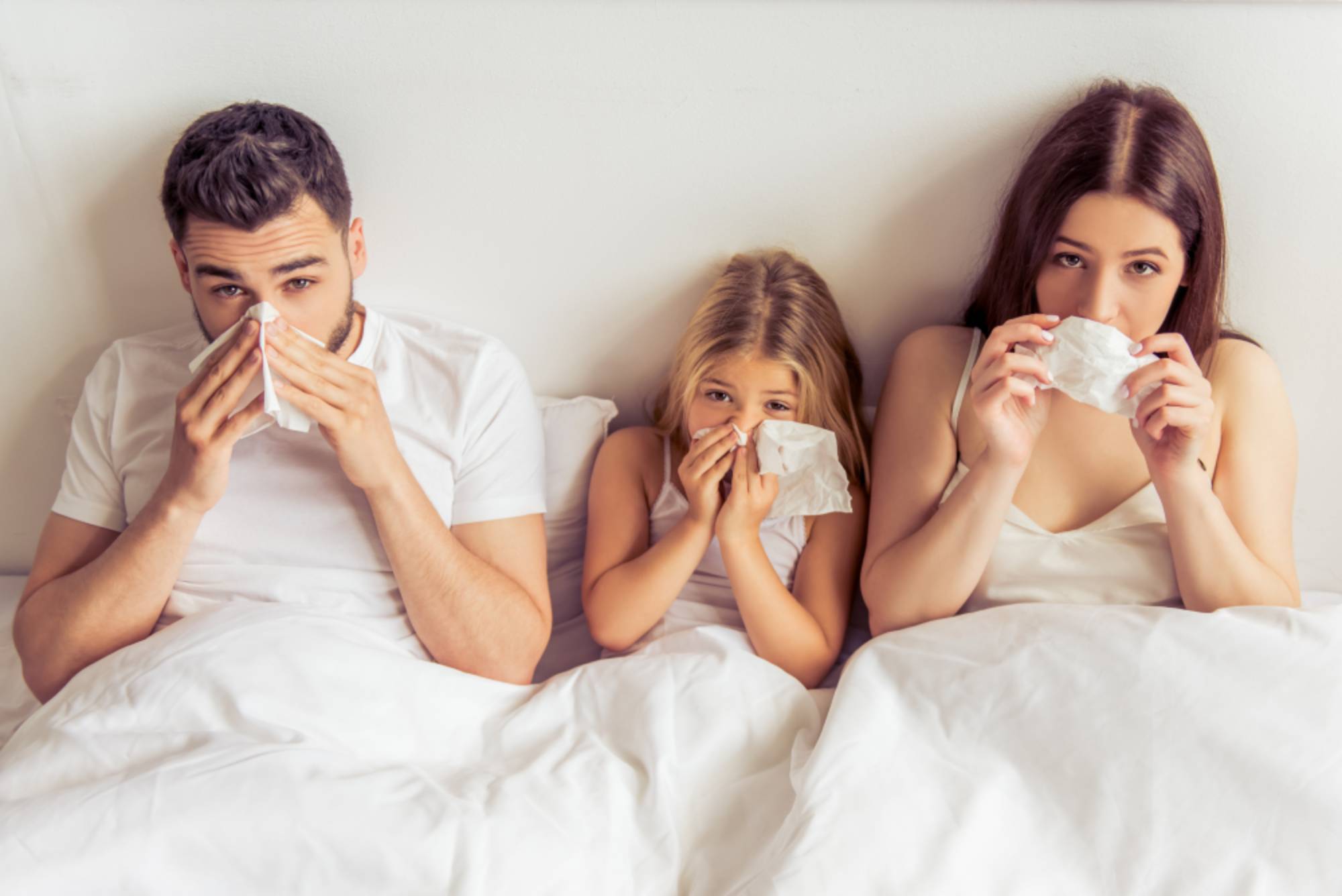 How to Improve Indoor Air Quality During Allergy Season